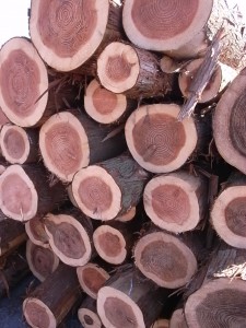 20101123　朝鮮半島と適材適所の覚悟④